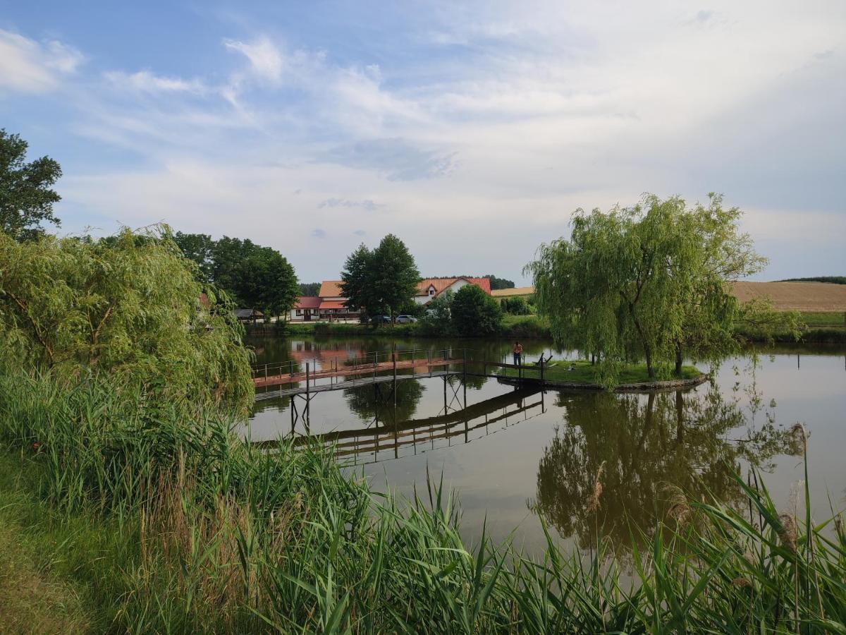 Agrowczasy Nad Stawem Villa Gartatowice Екстериор снимка