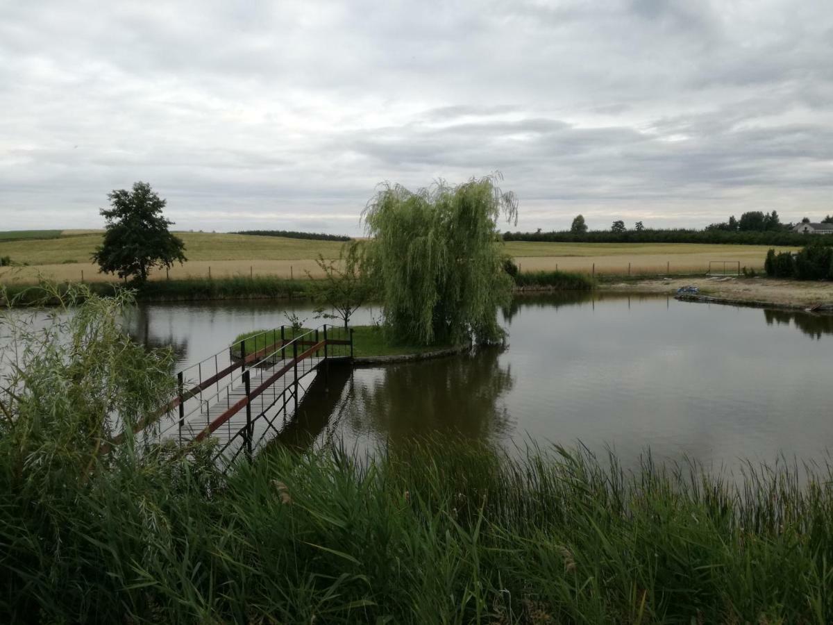 Agrowczasy Nad Stawem Villa Gartatowice Екстериор снимка